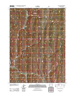 2012 Map of Salt Flat, 2012 Print