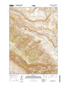 2015 Map of Shoshone Canyon, 2015 Print