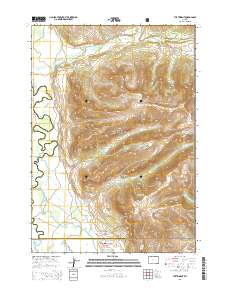 2015 Map of The Trident, 2015 Print