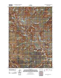 2011 Map of Tower Junction, 2011 Print