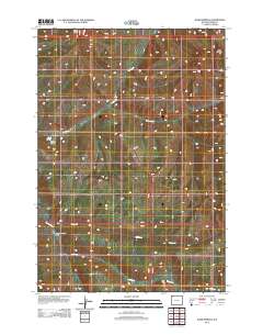 2012 Map of Wahb Springs, 2012 Print