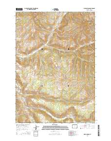 2015 Map of Wahb Springs, 2015 Print