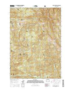 2015 Map of Walker Mountain, 2015 Print