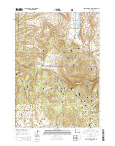 2015 Map of Warm Spring Mountain, 2015 Print