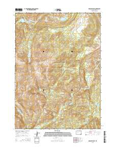 2015 Map of Washakie Park, 2015 Print