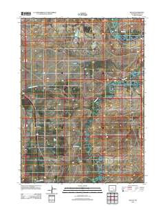 2012 Map of Wilcox, 2012 Print