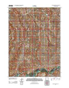 2012 Map of Willow Springs, 2012 Print
