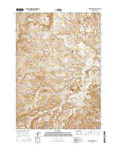 2015 Map of Wilson Spring, 2015 Print