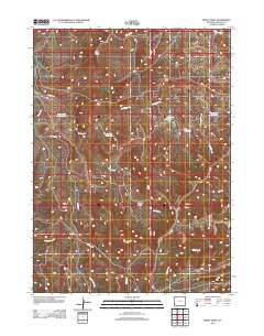 2012 Map of Windy Point, 2012 Print