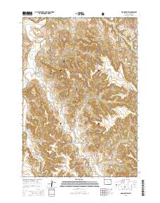 2015 Map of Wonder View, 2015 Print